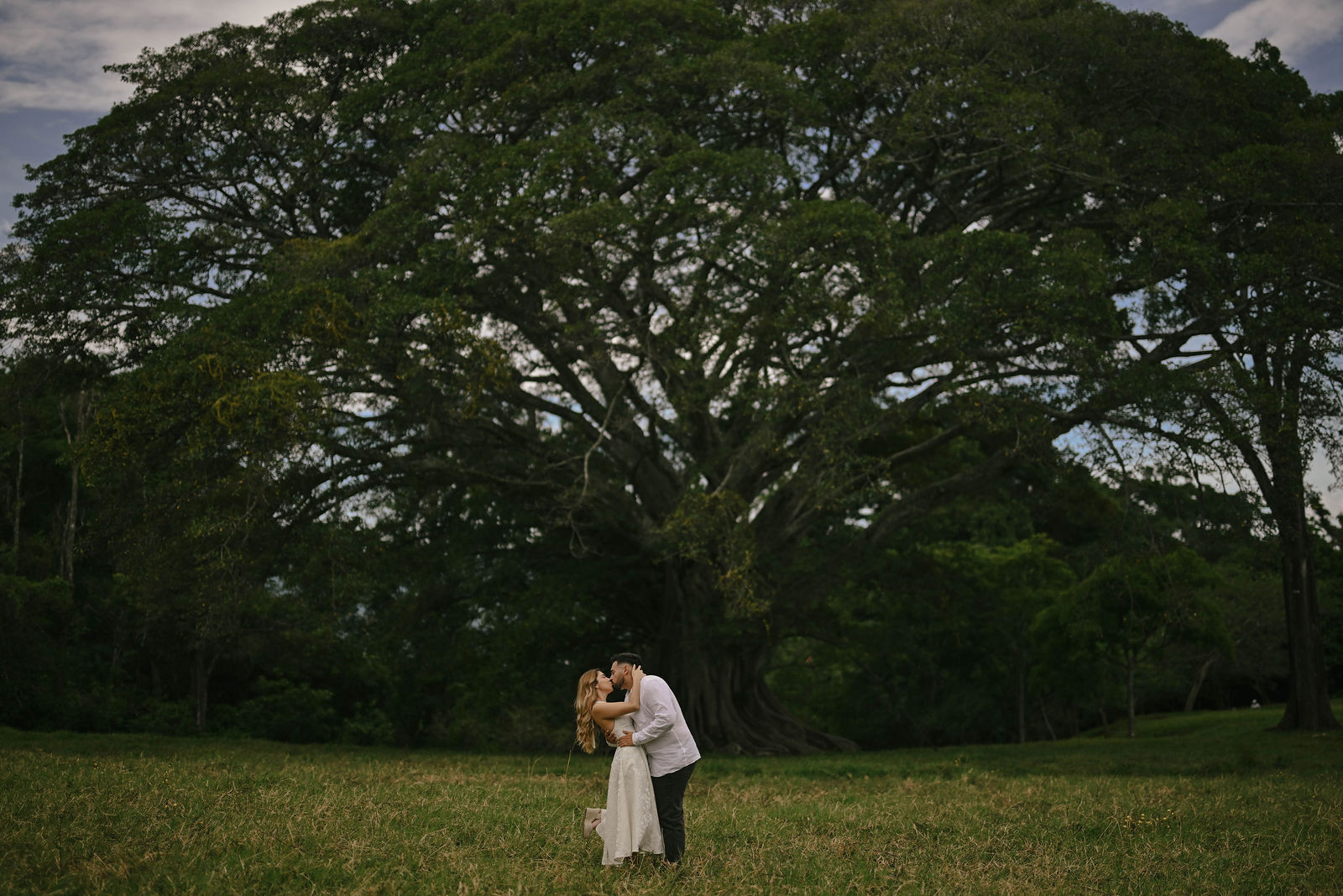 Compromiso 3